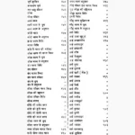 Rasraj Mahodadhi Book (रसराज महोदधि पुस्तक)