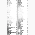 Rasraj Mahodadhi Book (रसराज महोदधि पुस्तक)