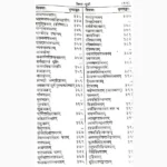 Vrihad Maansagri Jyotish Book (वृहद् मानसागरी ज्योतिष)