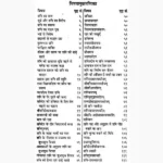 Shani Upasana-Shanti Book (शनि उपासना-शांति पुस्तक)