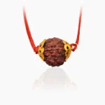 Vighnaharan Rudraksha (विघ्नहरण कवच)