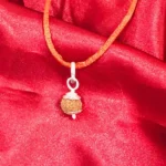 10 Mukhi Rudraksha Pendant, 10 मुखी रुद्राक्ष पेंडेंट