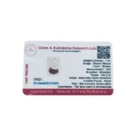 10 Mukhi Rudraksha Pendant, 10 मुखी रुद्राक्ष पेंडेंट