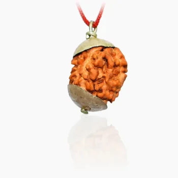 3 Mukhi Rudraksha Locket (3 मुखी कवच)
