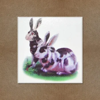 Rabbits Pair Painting (खरगोश का जोड़ा)