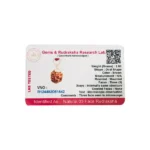 Teen Mukhi Rudraksha Pendant, तीन मुखी रुद्राक्ष पेंडेंट