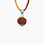 5 Mukhi Rudraksha Pendant, 5 मुखी रुद्राक्ष पेंडेंट