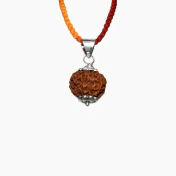 5 Mukhi Rudraksha Pendant, 5 मुखी रुद्राक्ष पेंडेंट