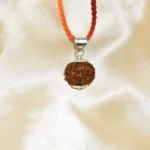 5 Mukhi Rudraksha Pendant, 5 मुखी रुद्राक्ष पेंडेंट