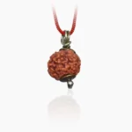 7 Mukhi Rudraksha Pendant, 7 मुखी रुद्राक्ष पेंडेंट