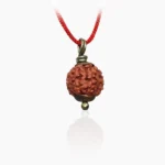7 Mukhi Rudraksha Pendant, 7 मुखी रुद्राक्ष पेंडेंट