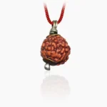 7 Mukhi Rudraksha Pendant, 7 मुखी रुद्राक्ष पेंडेंट
