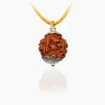 Four Face Rudraksha Pendant, चार मुखी रुद्राक्ष पेंडेंट