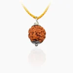 Four Face Rudraksha Pendant, चार मुखी रुद्राक्ष पेंडेंट