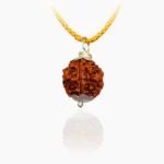 Four Face Rudraksha Pendant, चार मुखी रुद्राक्ष पेंडेंट