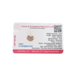 Panch Mukhi Rudraksha Pendant, पंचमुखी रुद्राक्ष पेंडेंट