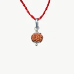 Seven Face Rudraksha Pendant, सात मुखी रुद्राक्ष पेंडेंट