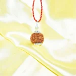 Seven Mukhi Rudraksha Pendant, सात मुखी रुद्राक्ष पेंडेंट