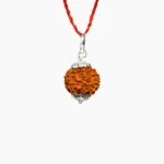 Seven Mukhi Rudraksha Pendant, सात मुखी रुद्राक्ष पेंडेंट