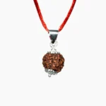 Six Mukhi Rudraksha Pendant, छह मुखी रुद्राक्ष पेंडेंट