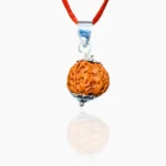Six Mukhi Rudraksha Pendant, छह मुखी रुद्राक्ष पेंडेंट