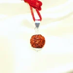 Six Mukhi Rudraksha Pendant, छह मुखी रुद्राक्ष पेंडेंट