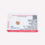 Six Mukhi Rudraksha Pendant, छह मुखी रुद्राक्ष पेंडेंट