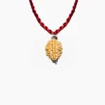 Two Mukhi Rudraksha Pendant, दो मुखी रुद्राक्ष पेंडेंट