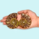 Ammonite Fossil Pair Natural (जीवाश्म जोड़ी)