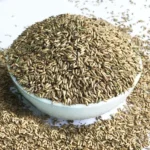 Apamarg Seeds (अपामार्ग के बीज)