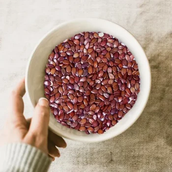 Babul Seeds (बबूल के बीज)