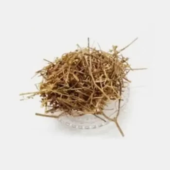 Ban Tulsi (बन तुलसी)