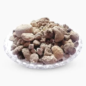 Banslochan Asli (वंशलोचन असली)