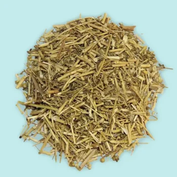 Barge Suddav (बर्ज सुद्दाव)