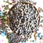 Bhindi Seeds (भिन्डी के बीज)