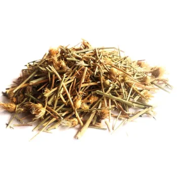 Bhram Dandi (भ्रमदण्डी)