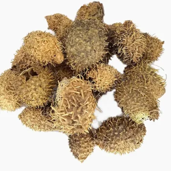 Bindaal Doda (बिंदाल डोडा)