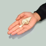 Divine Temple Shankh