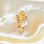 Ganesh Shankh, गणेश शंख