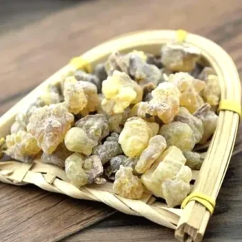 Gond Kondru (गोंद कुंदरू)