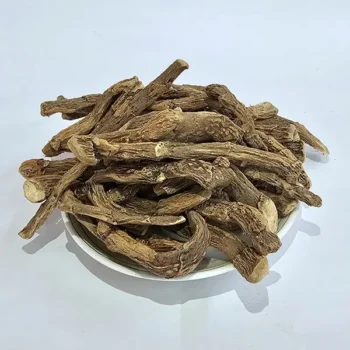 Gudbach Jadd (गुडबाच जड़)