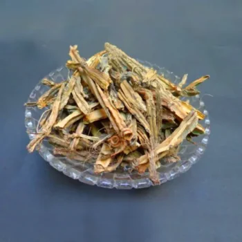 Hadjod Herb (हड़जोड़)