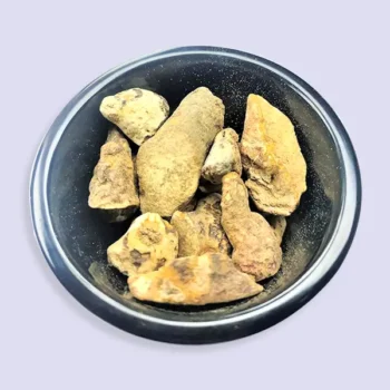 Kalihari Roots (कलिहारी की जड़)