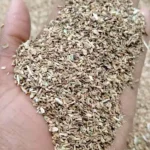 Kasni Seeds (कासनी के बीज)