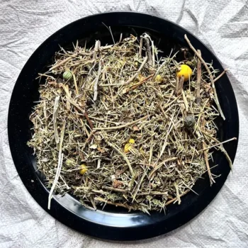 Kateri Panchang (कटेरी पंचांग)