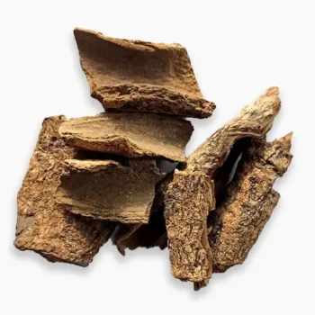 Maida Wood (मैदा लकड़ी)