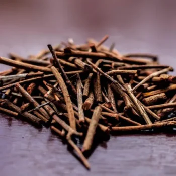 Manjistha Roots (मंजिष्ठा जड़)