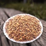 Mehendi Seeds (मेहंदी के बीज)