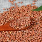 Mooli Seeds (मूली के बीज)