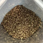 Mushk Dana (मुश्क दाना)